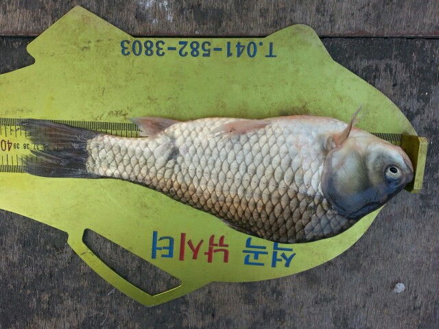 4917d7b5cae13cedc0ff9ec6d0f8c648.jpeg