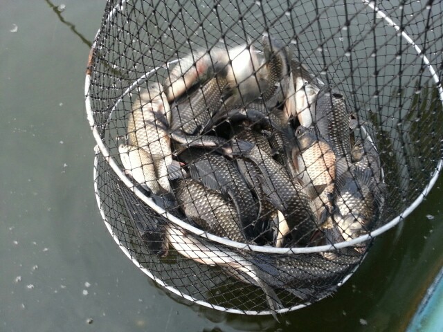 5646dc7ea5c3d5c292521551c7583f48.jpeg