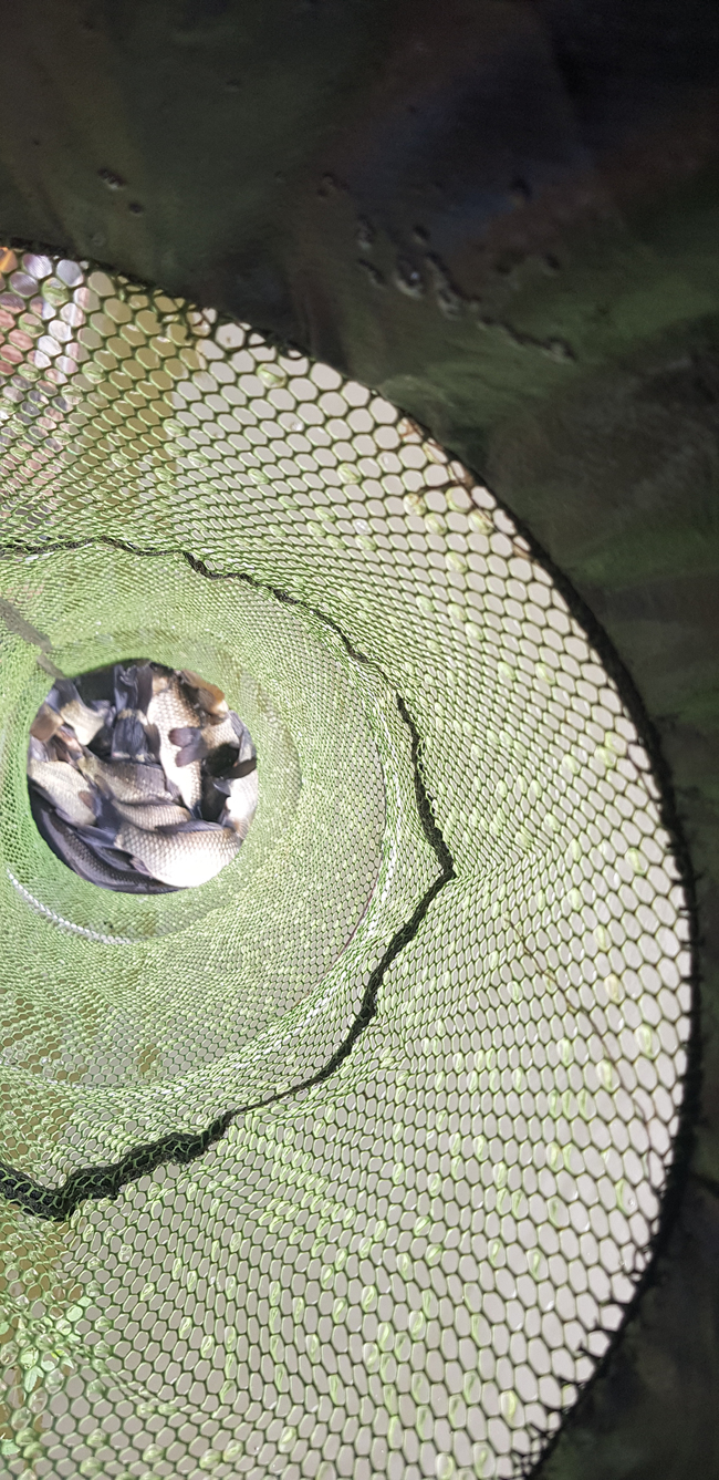 600452dd479ba17455d44f1995919a21.jpg