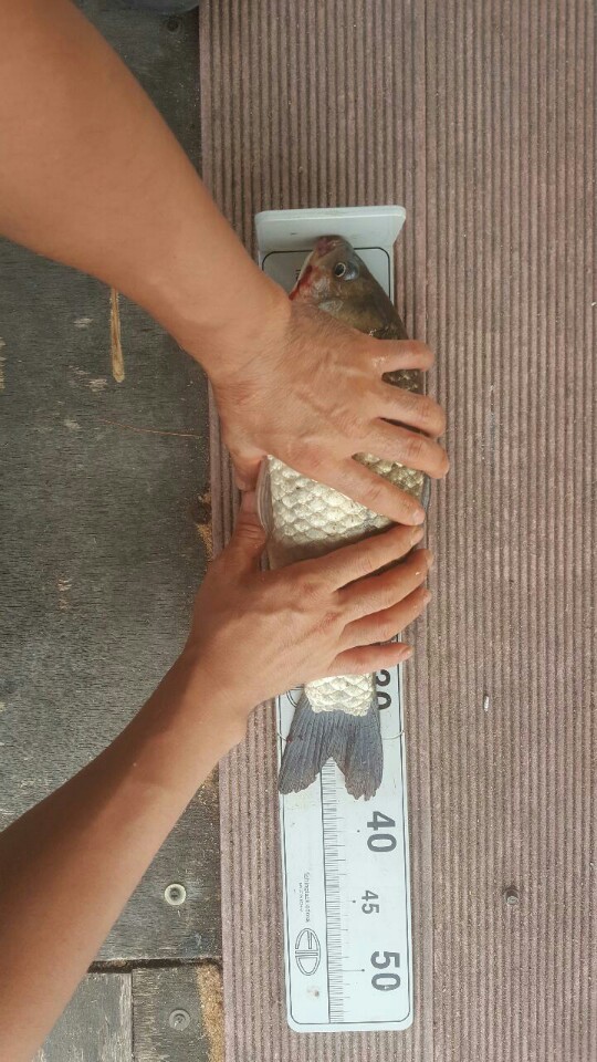 6388ab8b563532168091090078dd13c4.jpeg