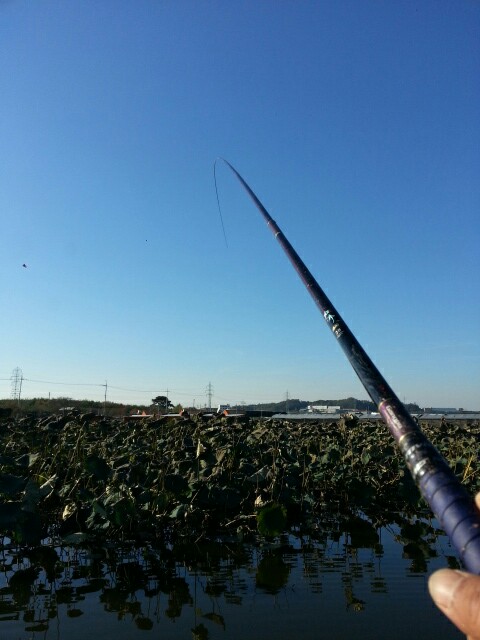 7051a280869f83aea299619ce6040b09.jpeg