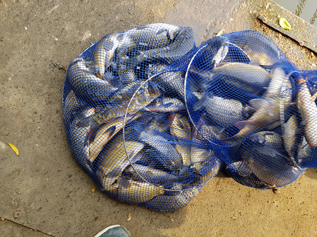 8079a5c7a39e15b416cd2353a8f9ef6e.jpg