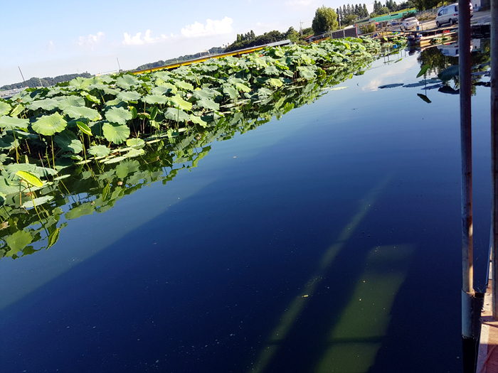 caea81b97106704c032296c2d0934380.jpg