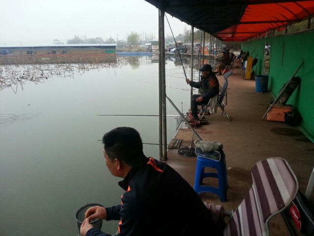 d0c5996080ed79c18695a51af97d2041.jpeg