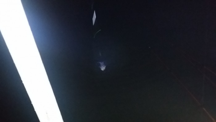 fcebd4229e7eec5ae4582472752d8b11.jpg