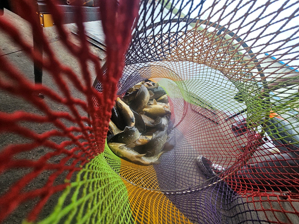 42162433662ef18ec10bbef76aa445d0_1747102599_9618.jpg