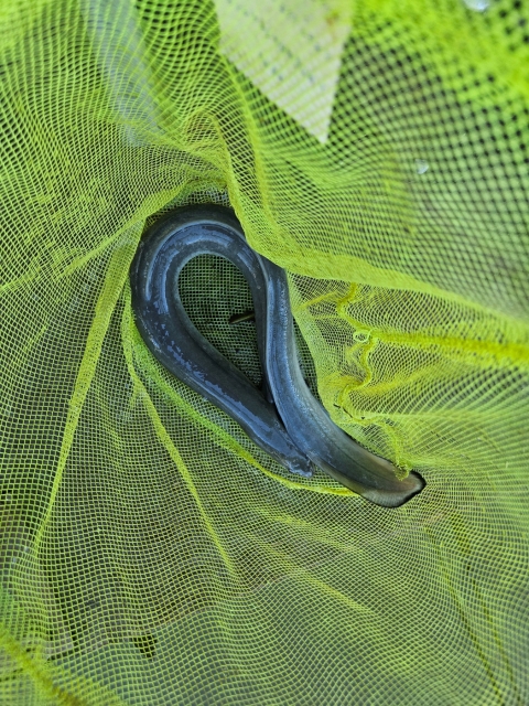 28d3b3965d5a4c0b7f083924e24957e0_1753675106_1549.jpg